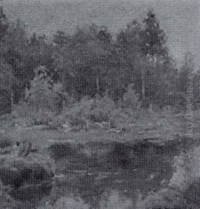 Metsalampi - Skogstjarn by Rudolf Koivu