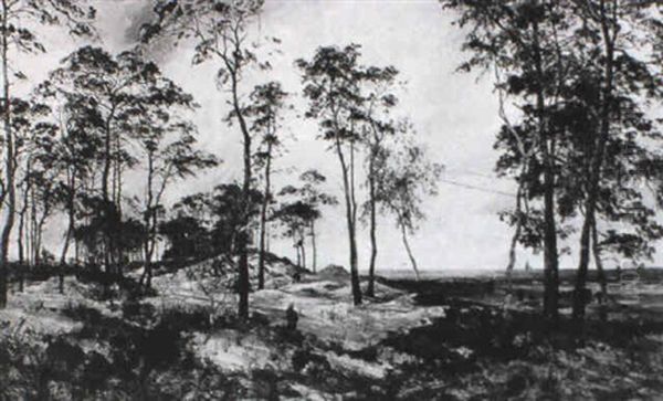 Weite Ostseelandschaft Mit Dunen - view 1