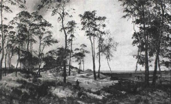 Weite Landschaft Mit Dunen - view 1