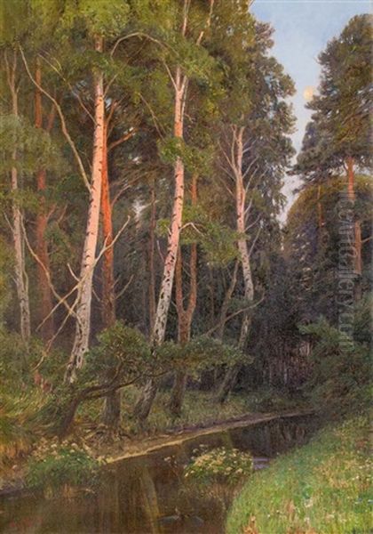 Birken Am Waldbach - view 1