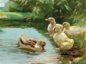 Enten Im Wasser [ducks In The Water)