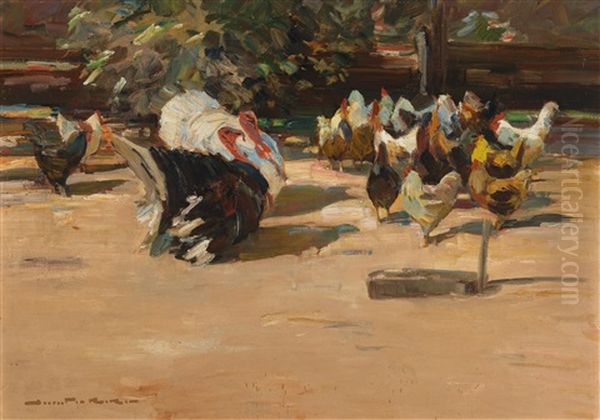 Sonniger Huhnerhof - view 1
