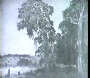 Waldlandschaft Mit Rehen Bei Mondschein