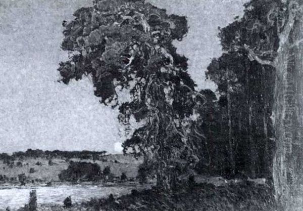 Waldlandschaft Mit Rehen Bei Mondschein - view 1