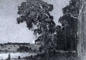 Waldlandschaft Mit Rehen Bei Mondschein