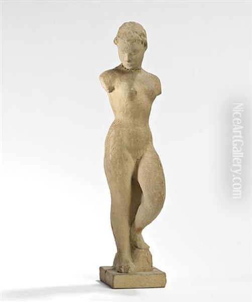 Torso Therapia - view 1
