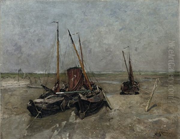 Philippine - Musselplate In Zeeland - view 1