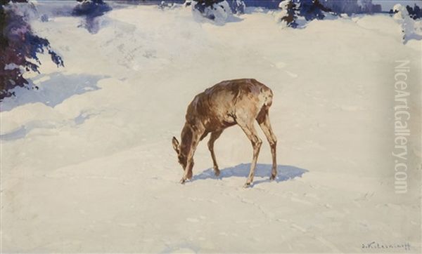 The Deer - view 1