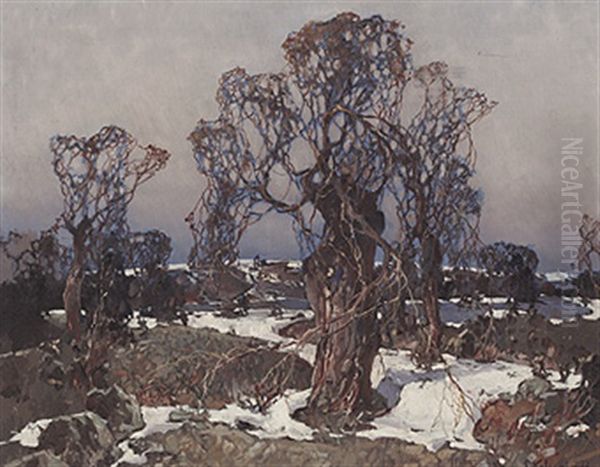 Knuppelweiden In Sonniger Winterlandschaft - view 1