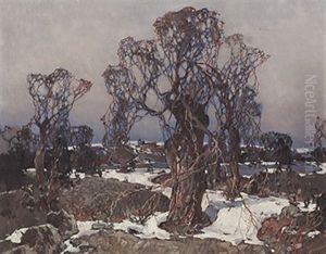 Knuppelweiden In Sonniger Winterlandschaft