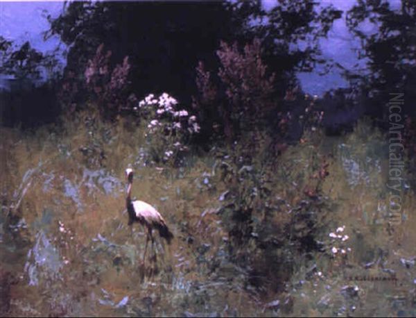 Stork In A Flowery Meadow - view 1