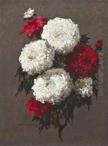 A Bouquet Of White And Red Chrysanthemums