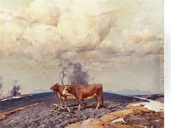 Plowing - view 1