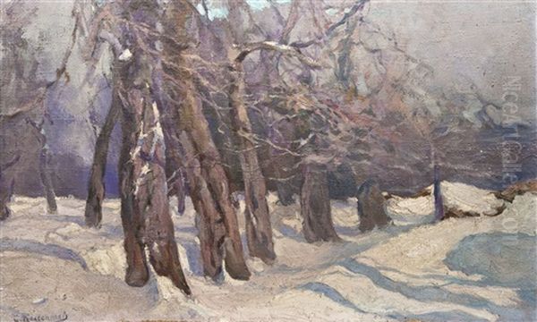 Kahle Baume Im Winter - view 1