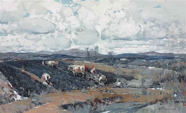 Open Fields - view 1