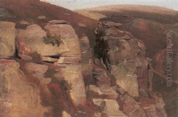 Abhang Mit Felsbrocken - view 1