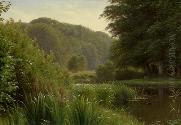 Idyllische Teichlandschaft Mit Enten - view 1