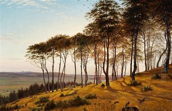 Sunshine Through The Trees, Vinderod Forest - view 1