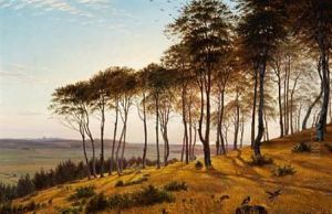 Sunshine Through The Trees, Vinderod Forest by Anton (Claus) Kolle