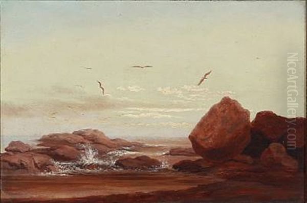 Coastal Scape With Large Rocks And Seagulls - view 1