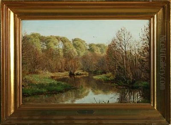 Spring Forest With River - view 1