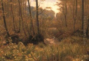 A Woodland Pool A Woodland Pool