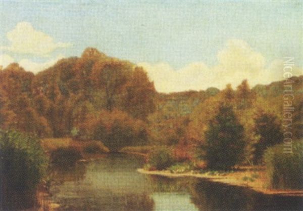 Dansk Skovso Med Aender Og Aellinger - view 1