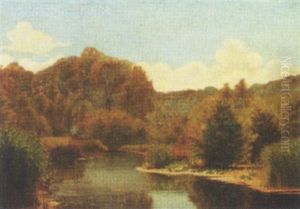 Dansk Skovso Med Aender Og Aellinger