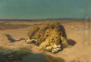 Ruhender Lowe by Johann Rudolf Koller