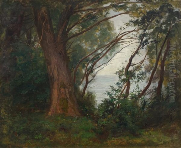 Zurichhorn - view 1