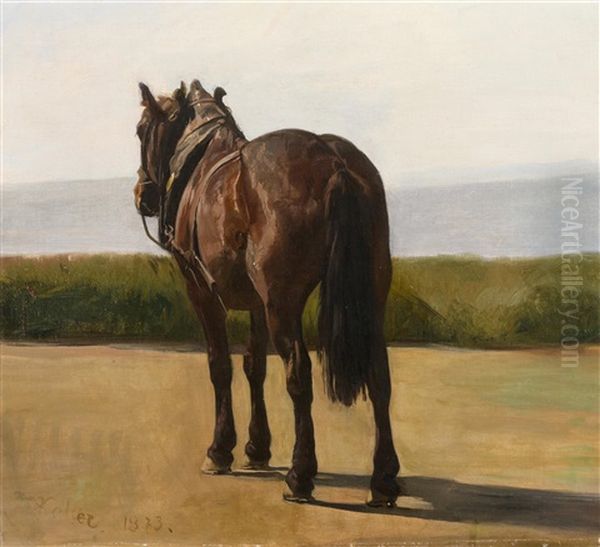 Zugpferd - view 1