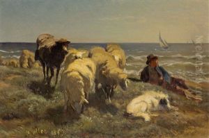 Schafherde Am Meer