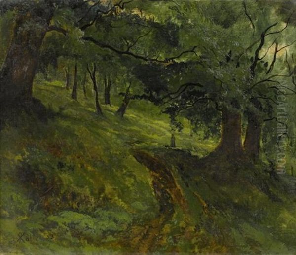 Ahornwald - view 1