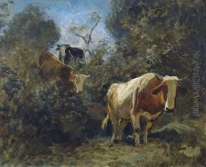Landschaft Mit Kuhen