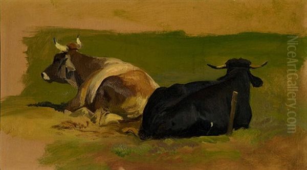 Zwei Liegende Kuhe (study) - view 1