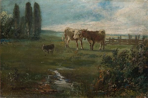 Auf Der Weide - view 1
