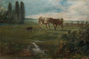 Auf Der Weide