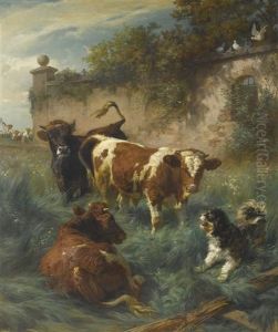 Kuhe Auf Der Weide