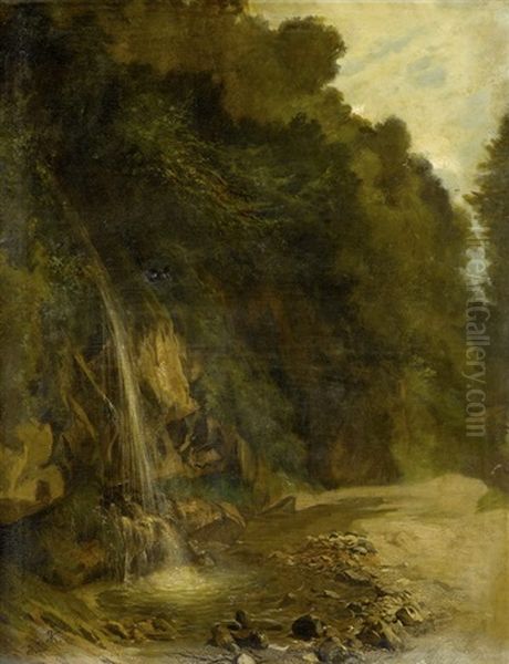 Waldlandschaft Mit Wasserfall - view 1