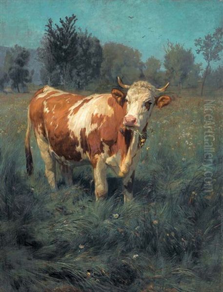 Kuh Auf Der Wiese - view 1