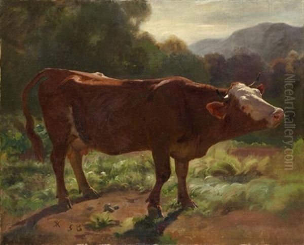 Stehende Kuh In Landschaft - view 1