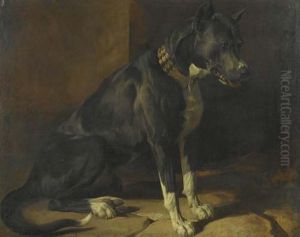 Schwarze Dogge