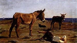 Die Siesta Des Eselhirten