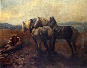 Les Chevaux Les Chevaux