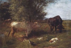 Kuhe, Enten Und Hund Am Zurichhorn Kuhe, Enten Und Hund Am Zurichhorn