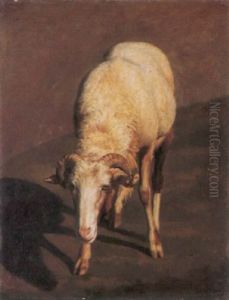 Studie Eines Schafes by Johann Rudolf Koller