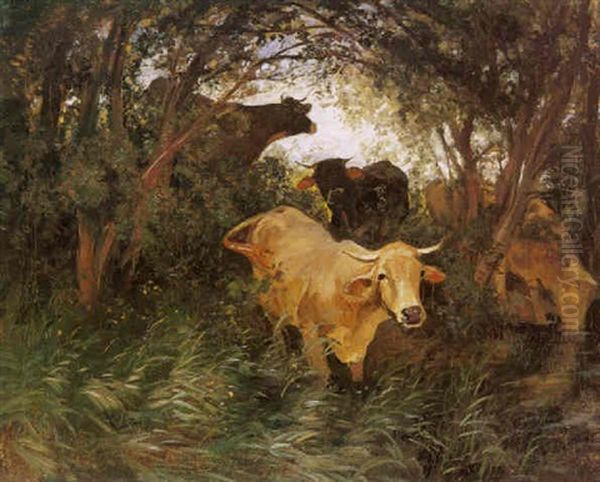Kuhe An Der Tranke - view 1