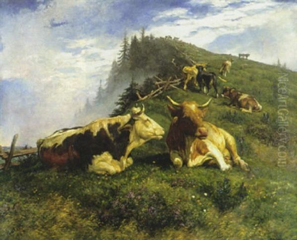 Ruhende Kuhe Auf Der Rigi - view 1