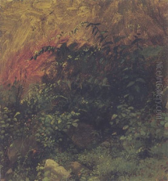 Landschaft - view 1