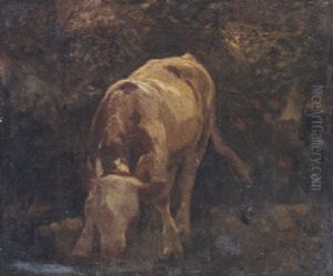Trinkende Kuh An Einem Fluss Trinkende Kuh An Einem Fluss